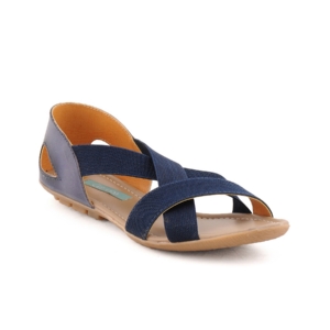 Catwalk Women Lifestyle Blue Flats
