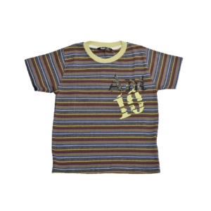 Ant Kids Brown Striped T-Shirt