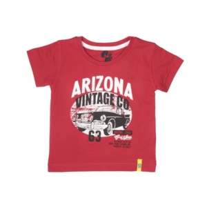 Gini and Jony Boys Printed Red T-shirt