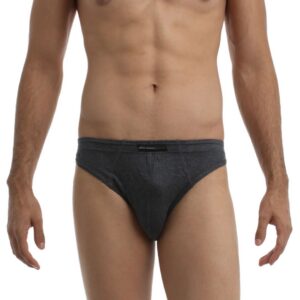 Chromozome Men Grey Pack of 2 Briefs
