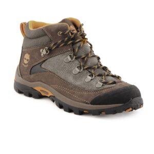Timberland Kids Boys Brown Casual Shoes