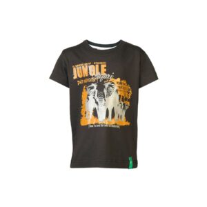 Palm Tree Kids Boys Printed Brown Tshirts
