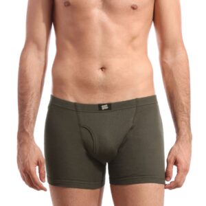 Hanes Men Brown Boxer Brief