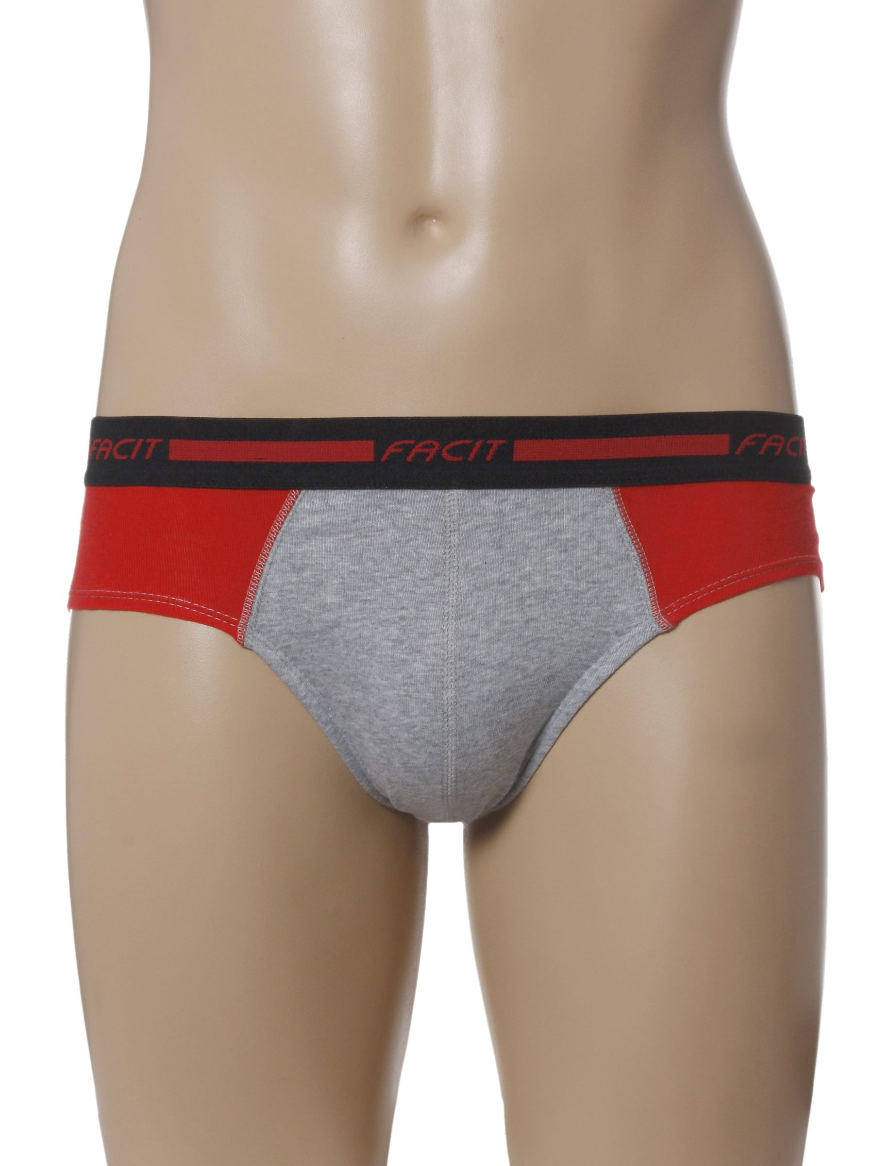 Facit Men Fusion Brie Grey Briefs