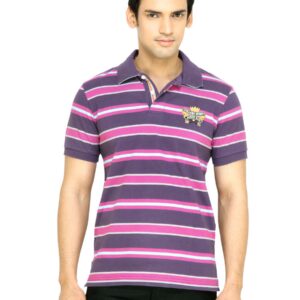 Arrow Sport Men Purple Striped T-shirt