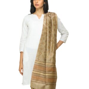 Fabindia Women Brown Silk Dupatta