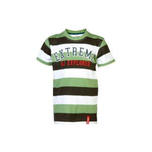 Gini and Jony Kids Boys Stripes Green Tshirts