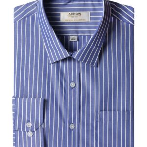 Arrow Men Blue Striped Shirt
