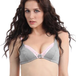 Bwitch Grey Bra