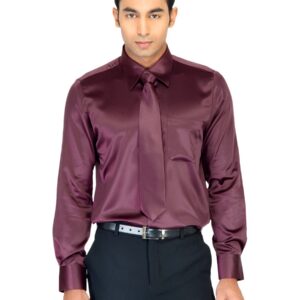 Turtle Solid Men  Burgundy Shirt