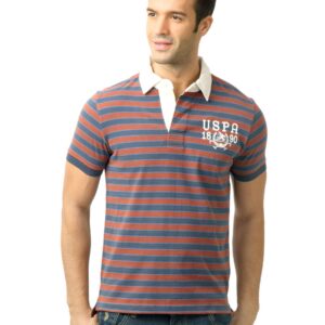 U.S. Polo Assn. Men Stripes Brown Polo Tshirt