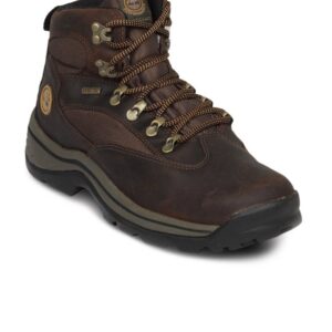 Timberland Men's Chocorua Trail Brown Shoe