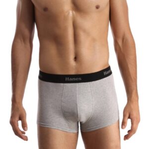 Hanes Men Grey Modern Duo Dry Cotton Stretch Trunks