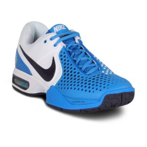 Nike Men's Air Max Court Blue Shoe