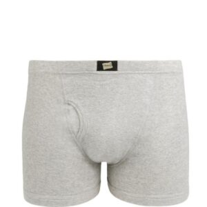 Hanes Men Grey Boxer Brief