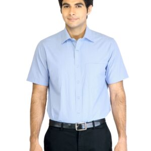 Peter England Men Check Blue Shirt