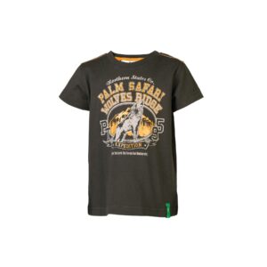 Palm Tree Kids Boys Printed Brown Tshirts