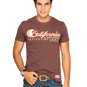 s.Oliver Men's Valentine Brown T-shirt
