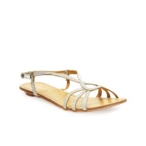 Catwalk Women Silver Toned Flats