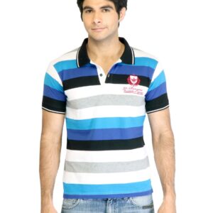 Peter England Men Stripes Blue Polo T-Shirt