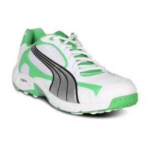Puma Men's Ballistic Rubber Shoe