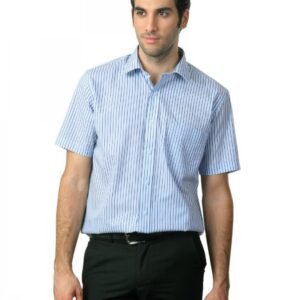 Arrow Men Blue Striped Shirt