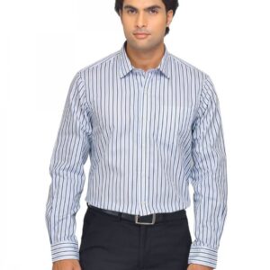 Arrow Men Blue Striped Shirt