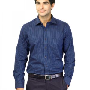Arrow Men Blue Striped Shirt