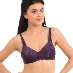 Biara Women Purple Bra