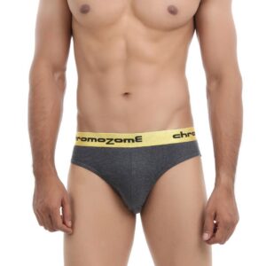 Chromozome Men Grey Briefs