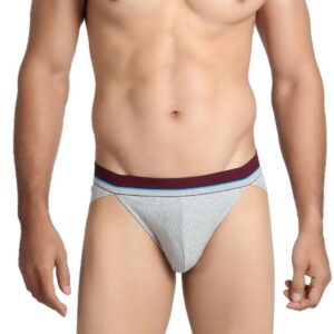 Chromozome Men Grey Melange Briefs