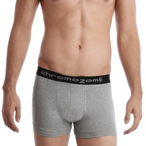 Chromozome Men Grey Melange Trunks