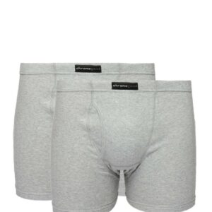 Chromozome Men Pack of Two Grey Trunks