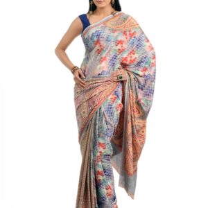 FNF Multi Coloured Sari