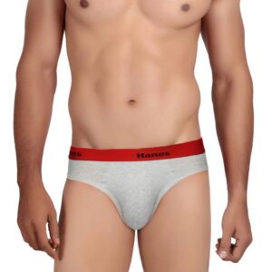 Hanes Men Grey Ultimate Duo Dry Cotton Stretch Bikini Briefs