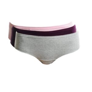 Hanes Women Pack of 3 Briefs
