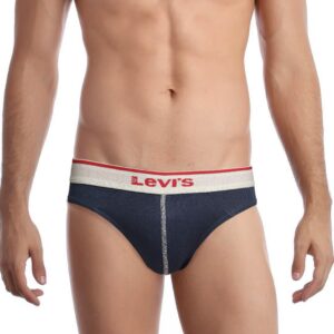 Levis Men Navy Blue Briefs