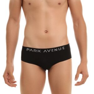 Park Avenue Men Black Briefs