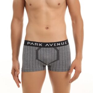Park Avenue Men Grey & Black Brief