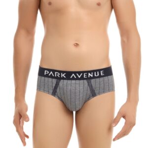 Park Avenue Men Grey Briefs