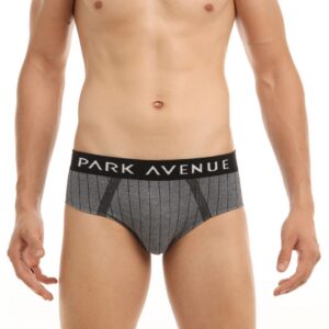 Park Avenue Men Grey Briefs