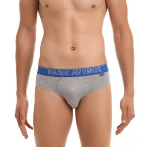 Park Avenue Men Grey Melange Briefs