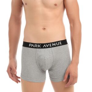 Park Avenue Men Grey Melange Trunks