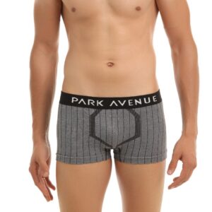 Park Avenue Men Navy Blue Brief