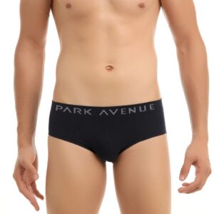 Park Avenue Men Navy Blue Briefs