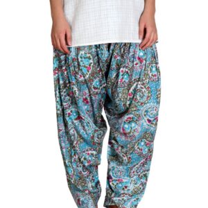 Shree Women Multi Coloured Patiala