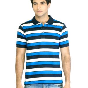 Peter England Men Stripes Blue Polo T-Shirt