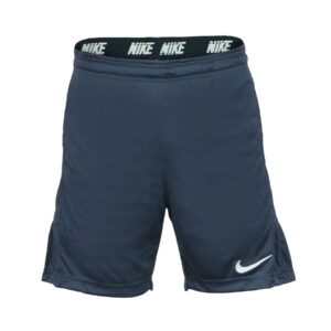 Nike Men Navy Blue Shorts