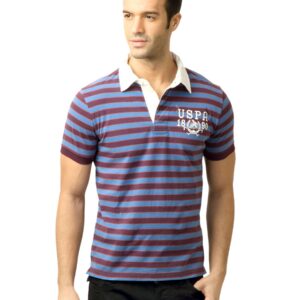 U.S. Polo Assn. Men Stripes Fedral Blue Polo  Tshirt