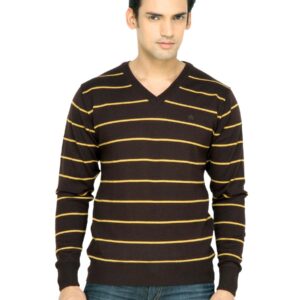 Arrow Men Brown Striped Sweater